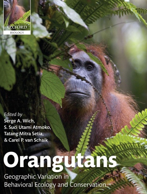 ORANGUTANS C