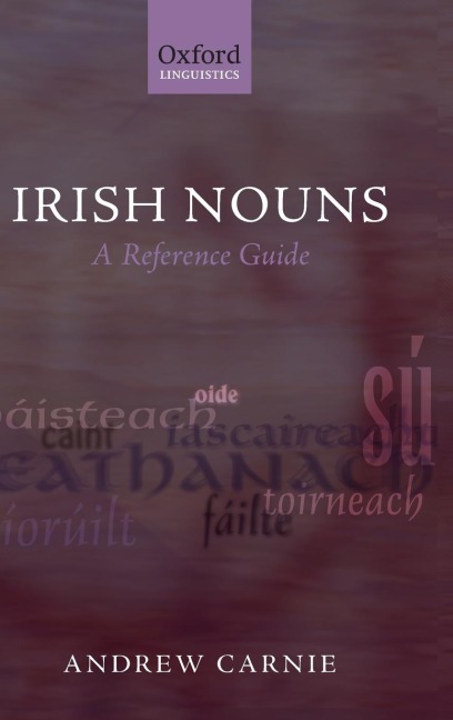 Irish Nouns: A Reference Guide