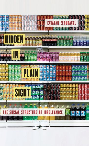 HIDDEN IN PLAIN SIGHT C