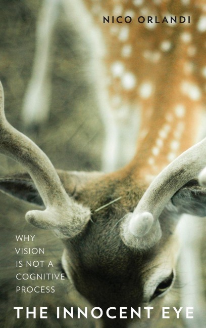 Innocent Eye: Why Vision Is Not a Cognitive Process