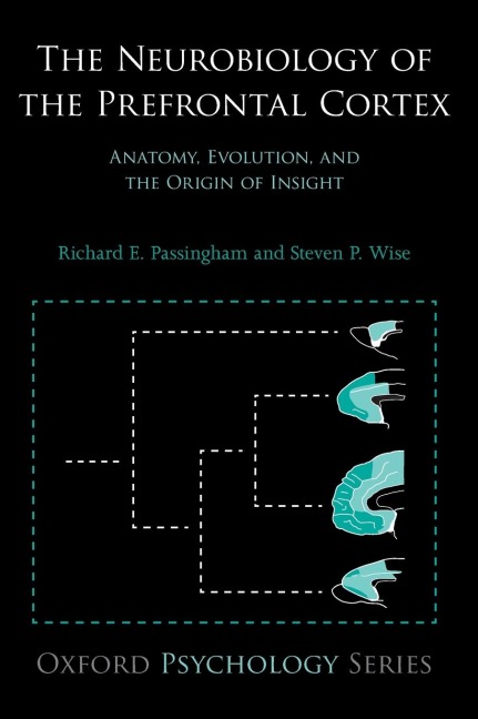 The Neurobiology of the Prefrontal Cortex