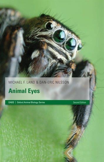 Animal Eyes