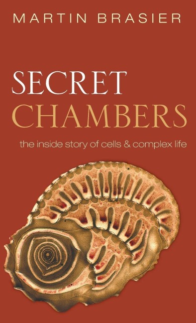 SECRET CHAMBERS C