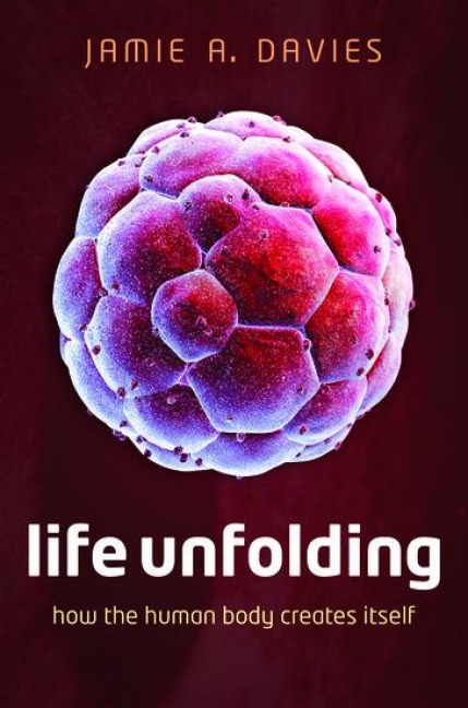 Life Unfolding: How the Human Body Creates Itself