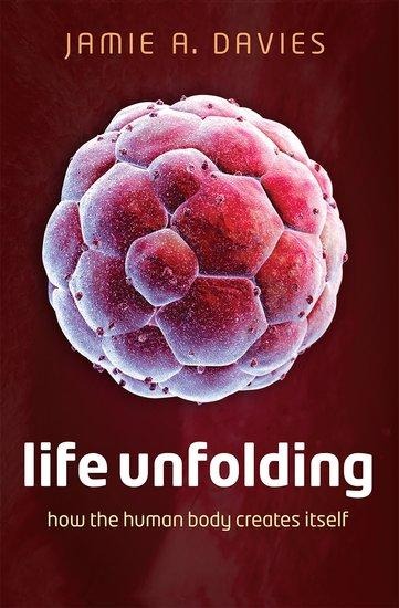 Life Unfolding: How the Human Body Creates Itself