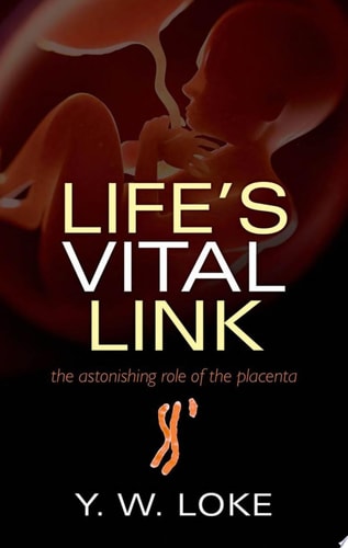 Life's Vital Link The Astonishing Role of the Placenta