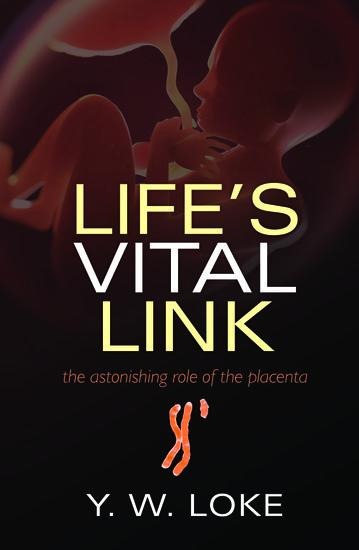 Lifes Vital Link: The Astonishing Role of the Placenta