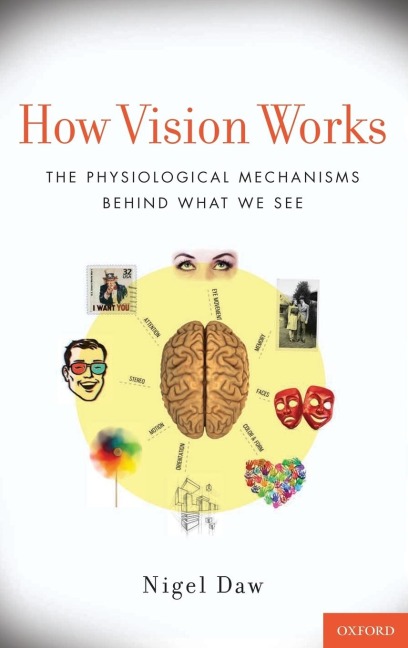 How Vision Works: The Physiological Mechanisms Behind What We See