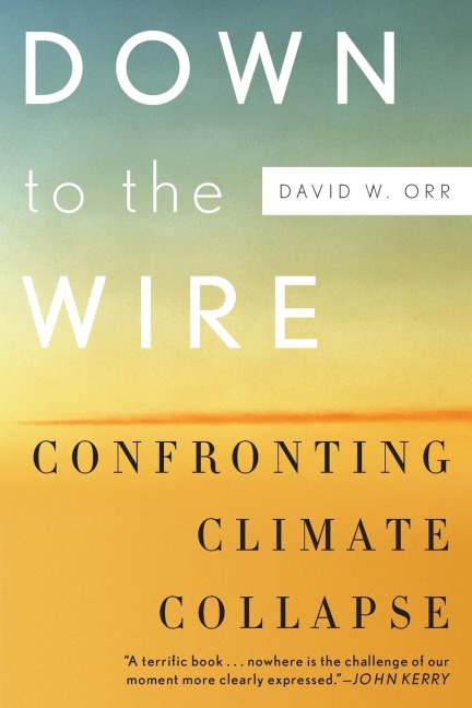 Down to the Wire: Confronting Climate Collapse