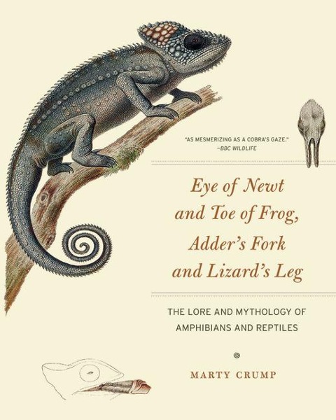 Eye of Newt and Toe of Frog, Adders Fork and Lizards Leg: The Lore and Mythology of Amphibians and Reptiles