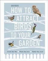 How to Attract Birds to Your Garden: Foods they like, plants they love, shelter they need
