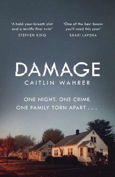 Damage: An unputdownable and emotionally gripping debut with a twist you wont see coming