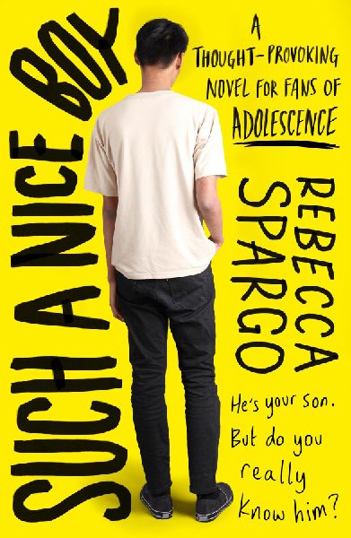 Such a Nice Boy: A thought-provoking, unputdownable read about motherhood and masculinity