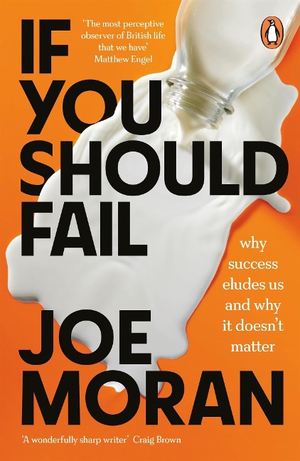 If You Should Fail: Why Success Eludes Us and Why It Doesnt Matter