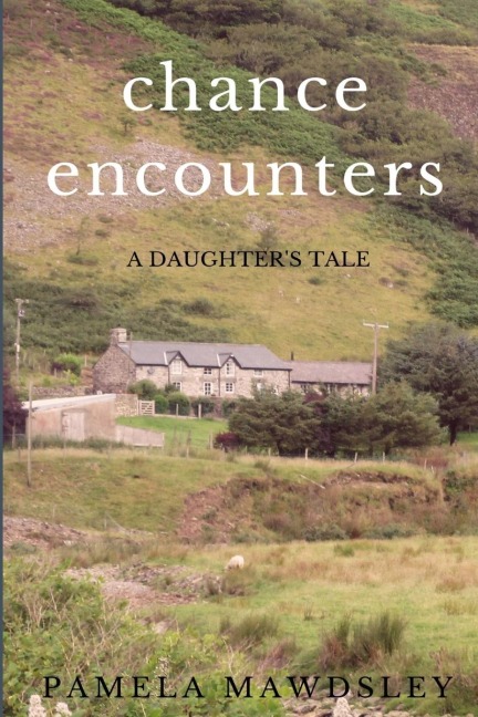 Chance Encounters A Daughters Tale