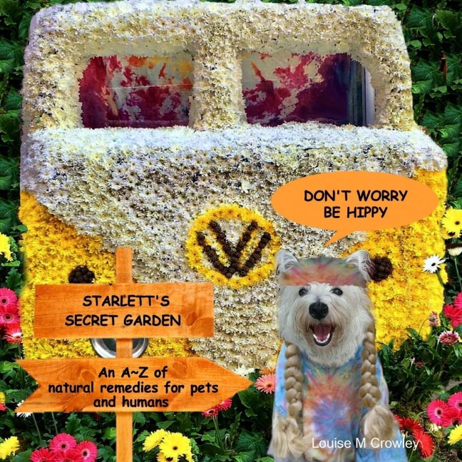 DONT WORRY BE HIPPY