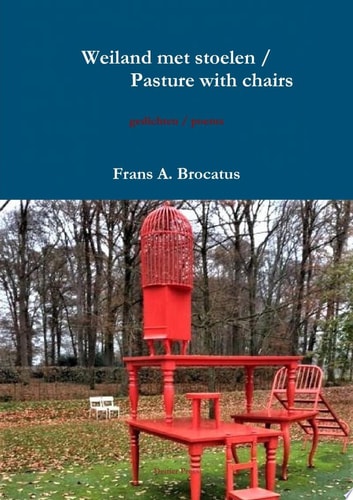 Weiland met stoelen / Pasture with chairs