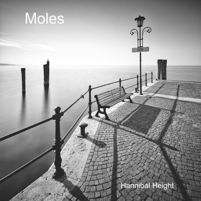 Moles
