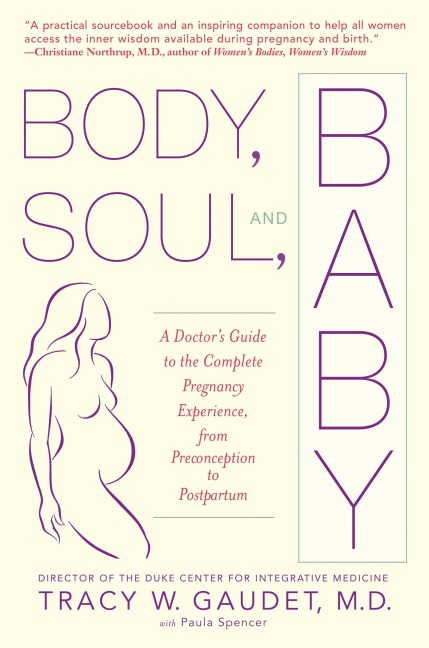 Body, Soul, and Baby: A Doctor's Guide to the Complete Pregnancy Experience, from Preconception to Postpartum