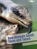 Bug Club Independent Non Fiction Year Two White A How Animals Smell, Taste and Touch