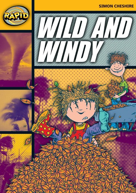 Rapid Reading: Wild and Windy (Stage 4, Level 4a)