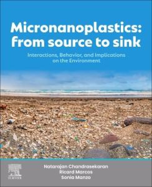 Micronanoplastics: From Source to Sink: Interactions, Behavior, and Implications on the Environment and Life