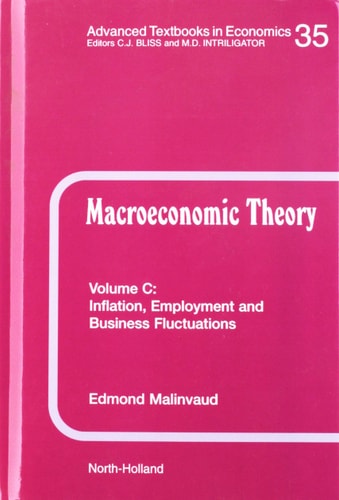 Inflation, Employment and Business Fluctuations (Volume 35C) (Advanced Textbooks in Economics, Volume 35C)