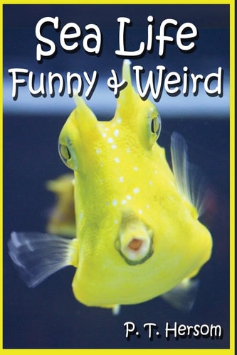 Sea Life Funny and Weird Marine Animals Learn with Amazing Photos and Facts about Ocean Marine Sea Animals