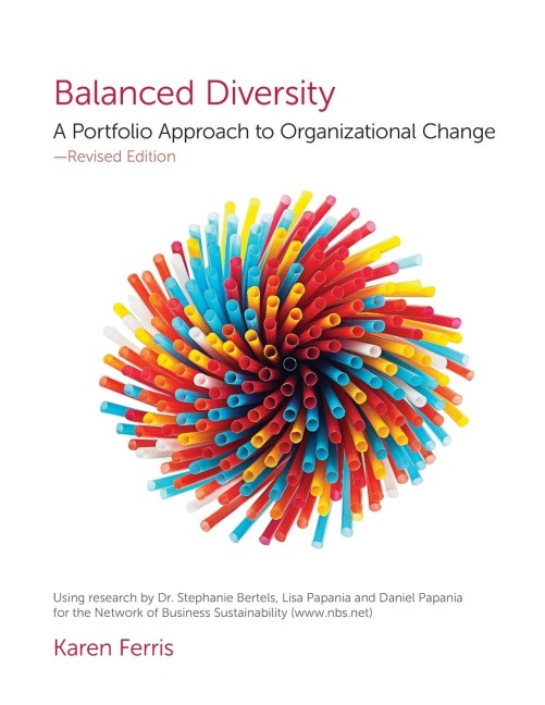 Balanced Diversity: A Portfolio Approach to Organizational Change