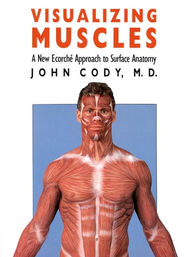 Visualizing Muscles: A New Ecorché Approach to Surface Anatomy