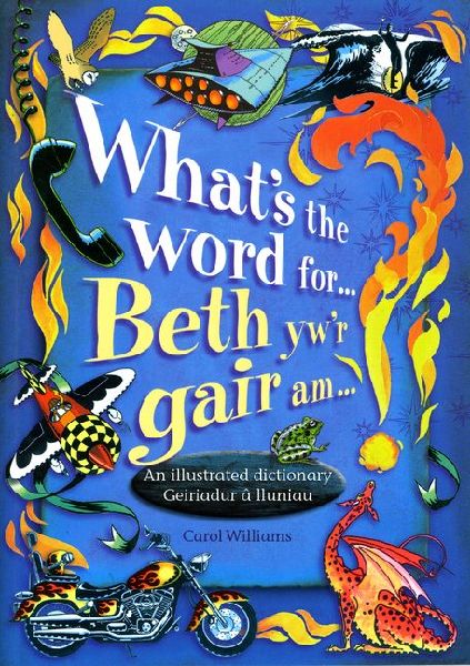 Whats the Word for...?: Beth ywr Gair am...?