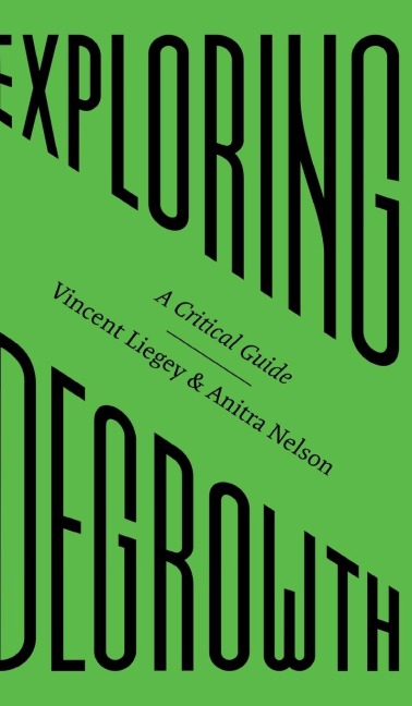 Exploring Degrowth: A Critical Guide