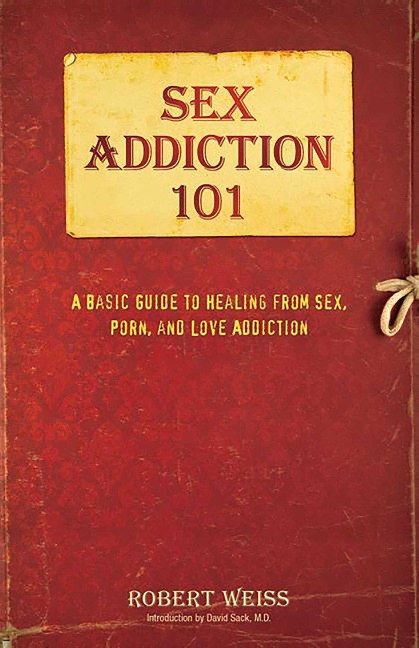 Sex Addiction 101 A Basic Guide to Healing from Sex, Porn, and Love Addiction