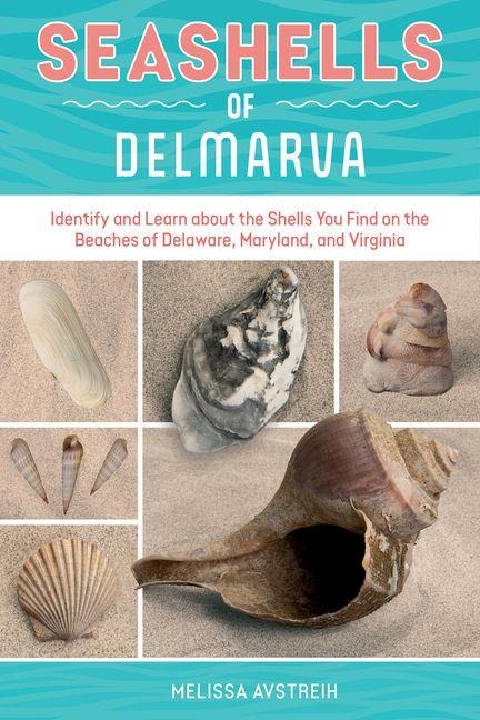 Seashells of Delmarva: Identify and Learn about the Shells You Find on the Beaches of Delaware, Maryland, and Virginia