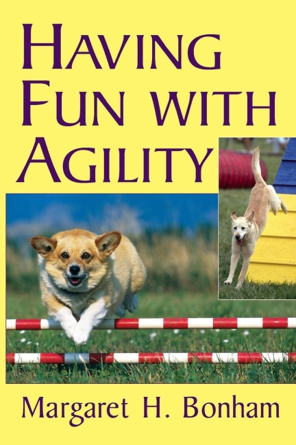 Having Fun with Agility