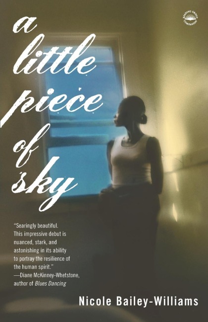 A Little Piece of Sky: A Novel