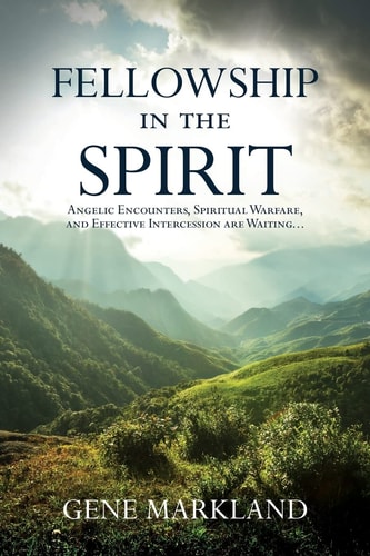 Fellowship in the Spirit Angelic Encounters, Spiritual Warfare, and Effective Intercession are Waiting...