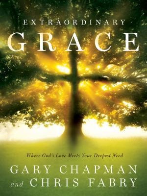 Extraordinary Grace: How the Unlikely Lineage of Jesus Reveals Gods Amazing Love