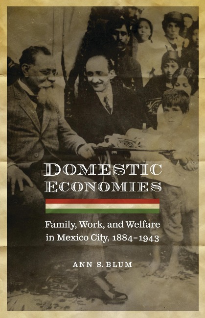 Domestic Economies: Family, Work, and Welfare in Mexico City, 1884-1943