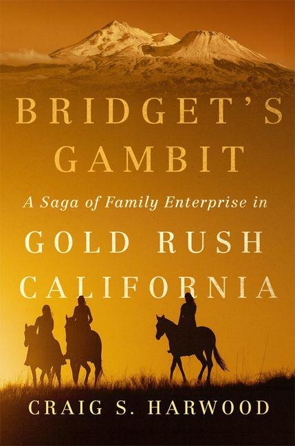Bridget's Gambit: A Saga of Family Enterprise in Gold Rush California Volume 4