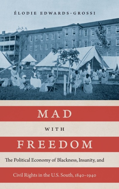 Mad with Freedom: The Political Economy of Blackness, Insanity, and Civil Rights in the U.S. South, 1840-1940