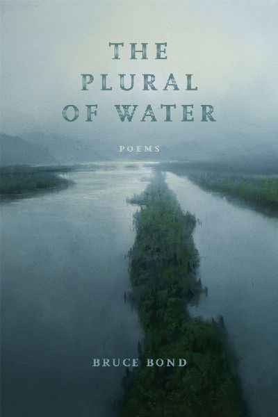 The Plural of Water: Poems