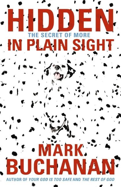 The Hidden in Plain Sight: The Secret of More