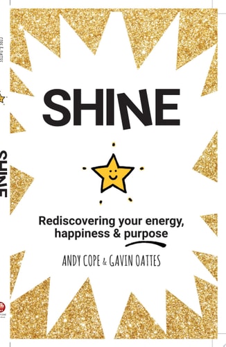 Shine Rediscovering Your Energy, Happiness and Purpose