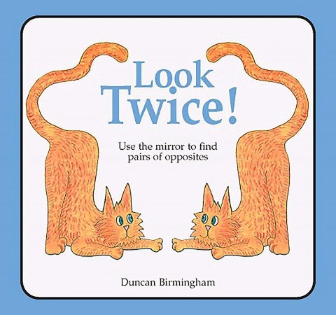 Look Twice: Use the Mirror to Find Pairs of Opposites