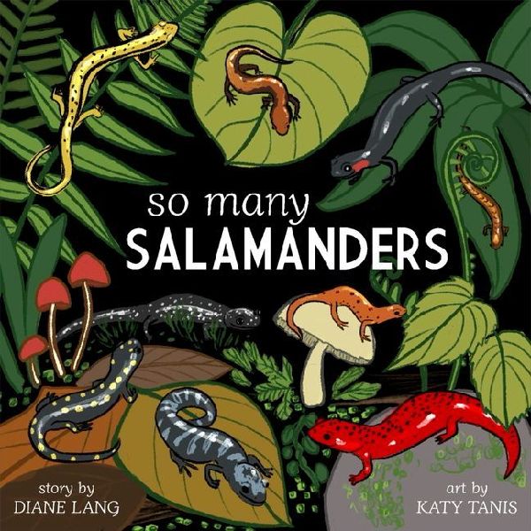 So Many Salamanders