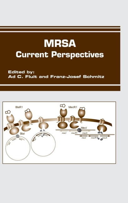 MRSA: Current Perspectives