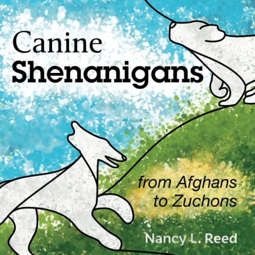 Canine Shenanigans From Afghans to Zuchons