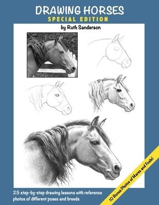 DRAWING HORSES: Special Edition