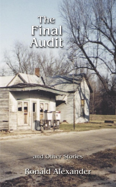 The Final Audit: And Other Stories